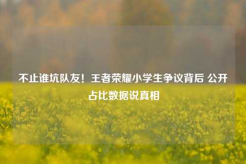 不止谁坑队友！王者荣耀小学生争议背后 公开占比数据说真相