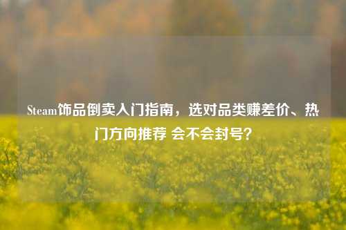 Steam饰品倒卖入门指南,选对品类赚差价、热门方向推荐 会不会封号?