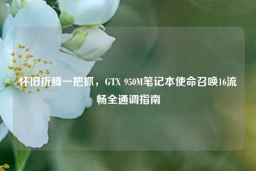 怀旧折腾一把抓，GTX 950M笔记本使命召唤16流畅全通调指南