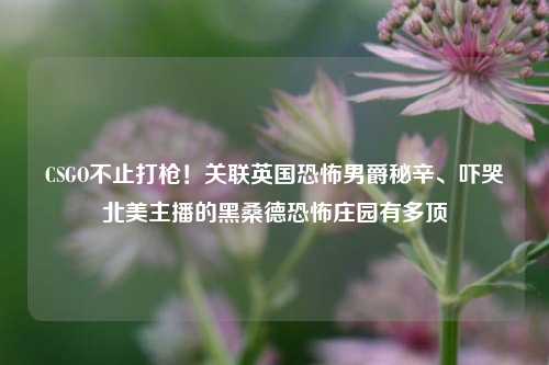 CSGO不止打枪！关联英国恐怖男爵秘辛、吓哭北美主播的黑桑德恐怖庄园有多顶