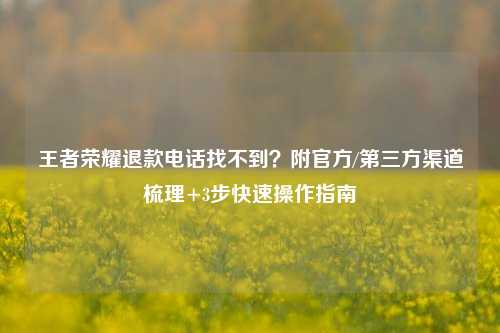 王者荣耀退款电话找不到？附官方/第三方渠道梳理+3步快速操作指南
