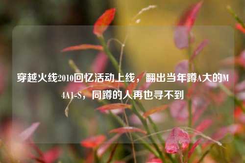 穿越火线2010回忆活动上线，翻出当年蹲A大的M4A1-S，同蹲的人再也寻不到