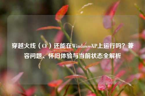穿越火线(CF)还能在Windows XP上运行吗?兼容问题、怀旧体验与当前状态全解析