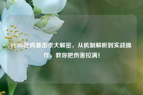 PUBG吃鸡暴击率大解密，从机制解析到实战操作，教你把伤害拉满！