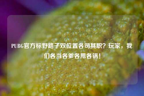 PUBG官方标野路子双位置各司其职？玩家，我们各当各爹各甩各锅！