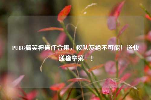PUBG搞笑神操作合集，救队友绝不可能！送快递稳拿第一！