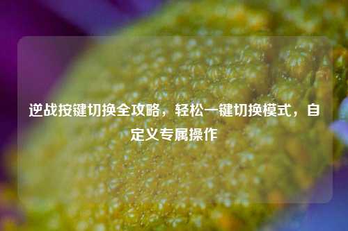 逆战按键切换全攻略，轻松一键切换模式，自定义专属操作