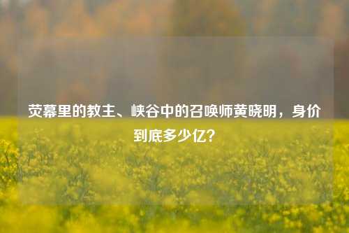 荧幕里的教主、峡谷中的召唤师黄晓明,身价到底多少亿?