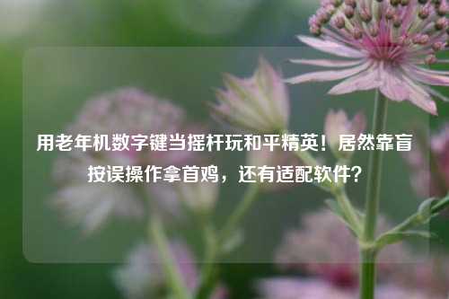 用老年机数字键当摇杆玩和平精英！居然靠盲按误操作拿首鸡，还有适配软件？