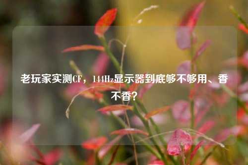老玩家实测CF,144Hz显示器到底够不够用、香不香?
