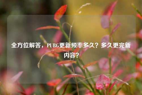全方位解答，PUBG更新频率多久？多久更完新内容？