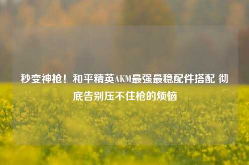 秒变神枪！和平精英AKM最强最稳配件搭配 彻底告别压不住枪的烦恼