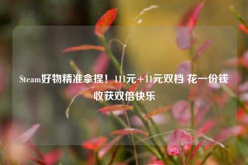 Steam好物精准拿捏!111元+11元双档 花一份钱收获双倍快乐