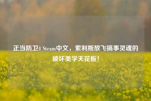正当防卫4 Steam中文,索利斯放飞搞事灵魂的破坏美学天花板!