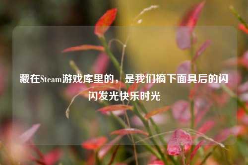 藏在Steam游戏库里的,是我们摘下面具后的闪闪发光快乐时光