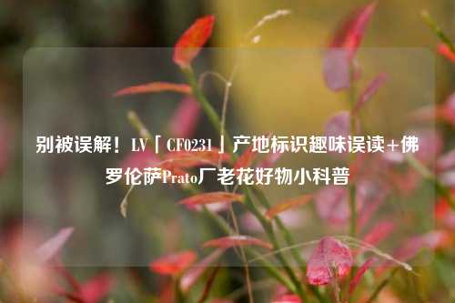 别被误解!LV「CF0231」产地标识趣味误读+佛罗伦萨Prato厂老花好物小科普