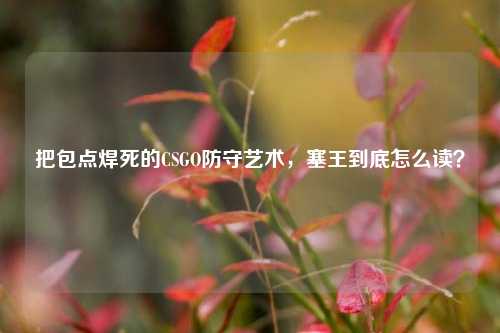 把包点焊死的CSGO防守艺术,塞王到底怎么读?