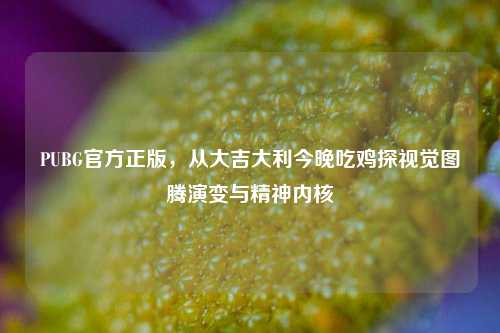 PUBG官方正版，从大吉大利今晚吃鸡探视觉图腾演变与精神内核