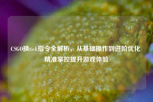 CSGO换tick指令全解析,从基础操作到进阶优化 精准掌控提升游戏体验