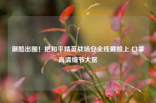 潮酷出圈！把和平精英战场安全线戴脸上 口罩高清细节大赏
