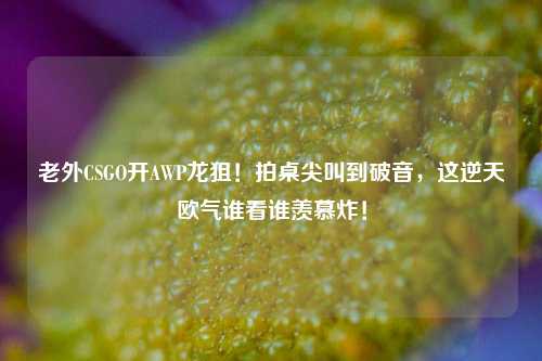 老外CSGO开AWP龙狙!拍桌尖叫到破音,这逆天欧气谁看谁羡慕炸!