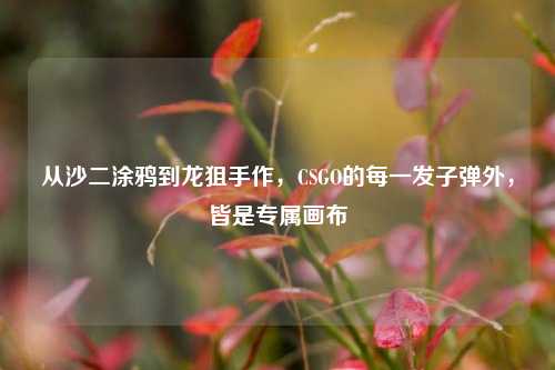 从沙二涂鸦到龙狙手作，CSGO的每一发子弹外，皆是专属画布