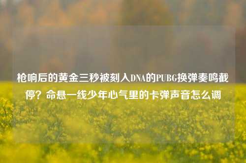 枪响后的黄金三秒被刻入DNA的PUBG换弹奏鸣截停？命悬一线少年心气里的卡弹声音怎么调