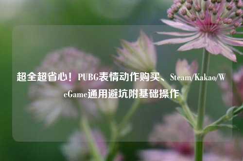 超全超省心!PUBG表情动作购买、Steam/Kakao/WeGame通用避坑附基础操作