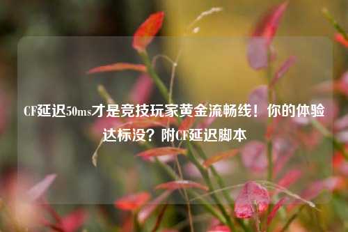 CF延迟50ms才是竞技玩家黄金流畅线!你的体验达标没?附CF延迟脚本