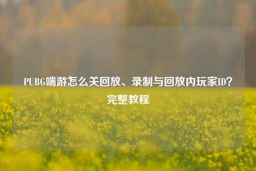 PUBG端游怎么关回放、录制与回放内玩家ID?完整教程