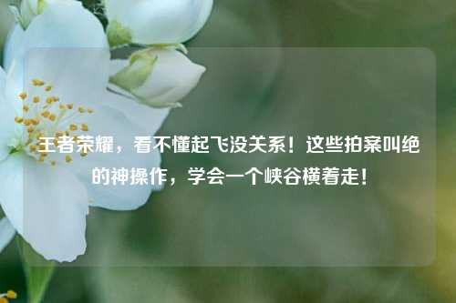 王者荣耀，看不懂起飞没关系！这些拍案叫绝的神操作，学会一个峡谷横着走！