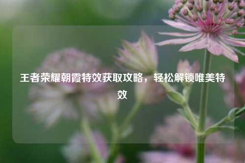 王者荣耀朝霞特效获取攻略，轻松解锁唯美特效