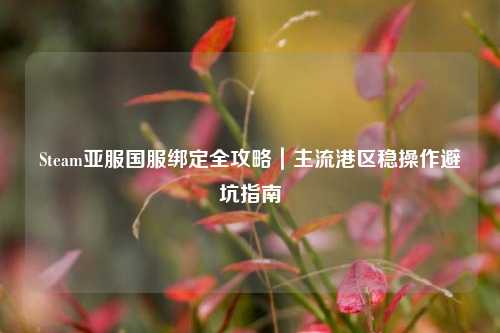 Steam亚服国服绑定全攻略|主流港区稳操作避坑指南