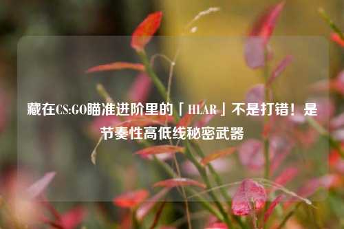 藏在CS:GO瞄准进阶里的「HLAR」不是打错!是节奏性高低线秘密武器