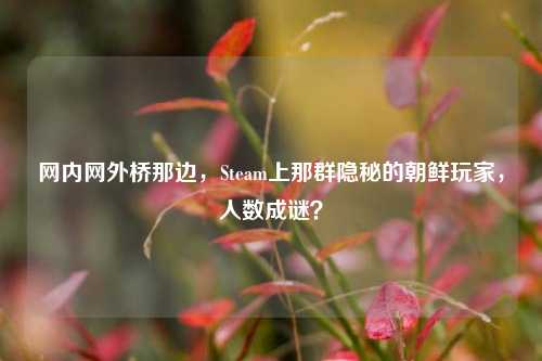 网内网外桥那边,Steam上那群隐秘的朝鲜玩家,人数成谜?