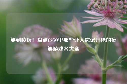 笑到喷饭！盘点CSGO里那些让人忘记开枪的搞笑游戏名大全