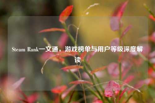 Steam Rank一文通,游戏榜单与用户等级深度解读