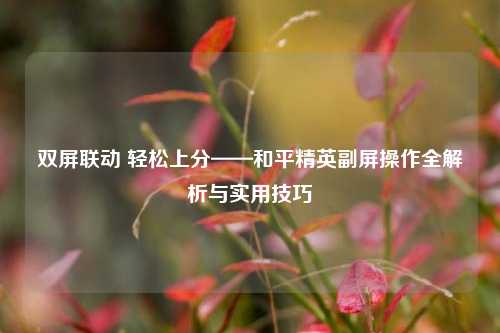双屏联动 轻松上分——和平精英副屏操作全解析与实用技巧