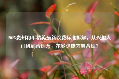 202X贵州和平精英最新收费标准拆解,从兴趣入门班到青训营,花多少钱才算合理?