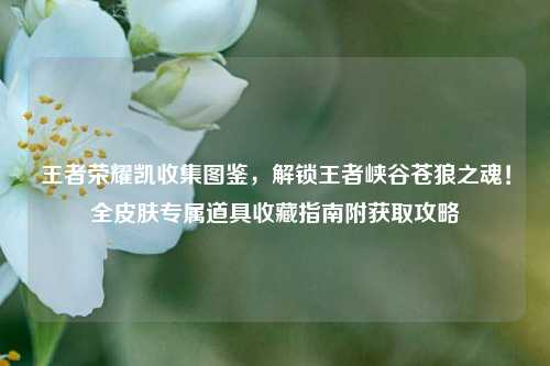 王者荣耀凯收集图鉴,解锁王者峡谷苍狼之魂!全皮肤专属道具收藏指南附获取攻略