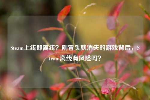 Steam上线即离线?刚冒头就消失的游戏背后,Steam离线有风险吗?