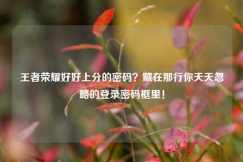 王者荣耀好好上分的密码？藏在那行你天天忽略的登录密码框里！