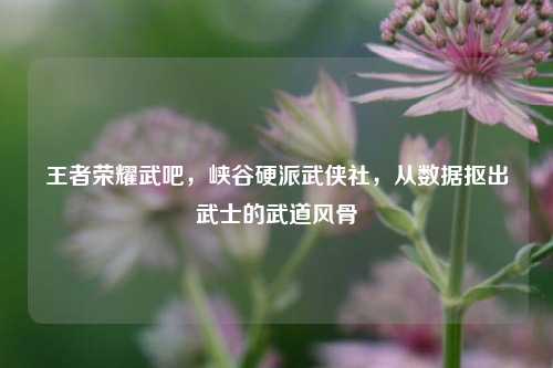 王者荣耀武吧,峡谷硬派武侠社,从数据抠出武士的武道风骨