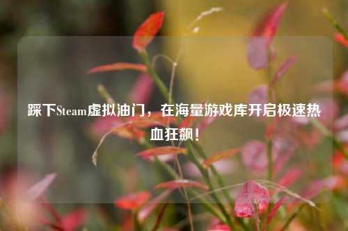 踩下Steam虚拟油门，在海量游戏库开启极速热血狂飙！