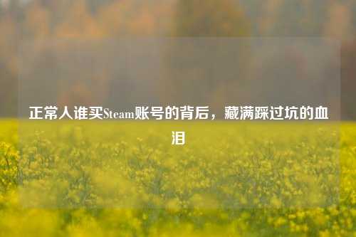 正常人谁买Steam账号的背后,藏满踩过坑的血泪
