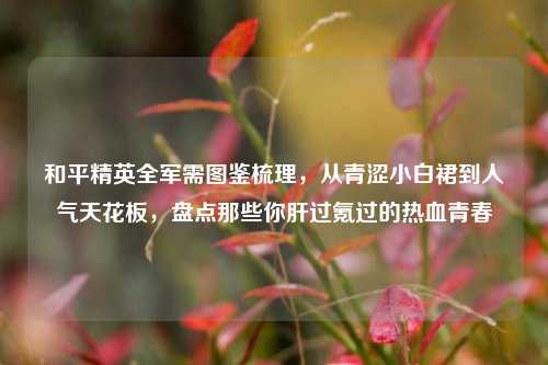 和平精英全军需图鉴梳理，从青涩小白裙到人气天花板，盘点那些你肝过氪过的热血青春