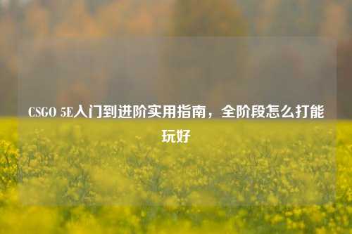 CSGO 5E入门到进阶实用指南,全阶段怎么打能玩好
