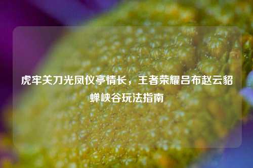 虎牢关刀光凤仪亭情长，王者荣耀吕布赵云貂蝉峡谷玩法指南
