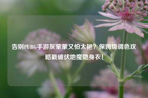 告别PUBG手游灰蒙蒙又怕太艳？保姆级调色攻略戳破伏地魔隐身衣！