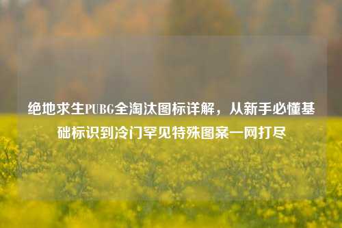 绝地求生PUBG全淘汰图标详解，从新手必懂基础标识到冷门罕见特殊图案一网打尽